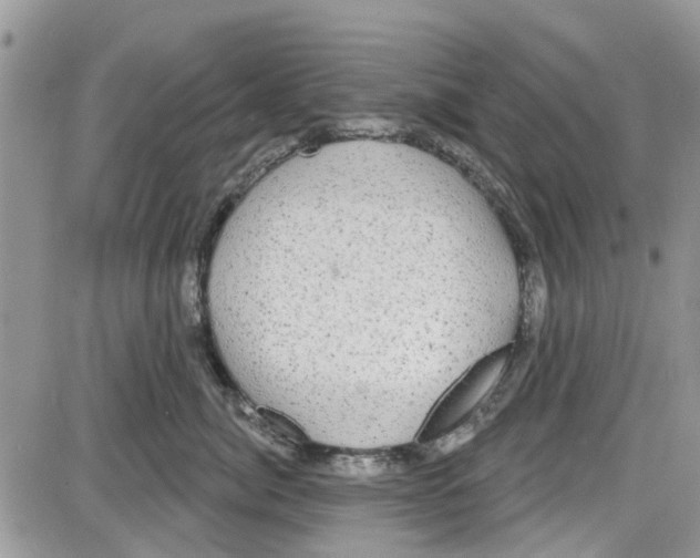 X0000087630764200705311328