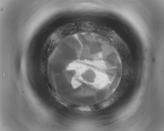 X0000087630765200705311328