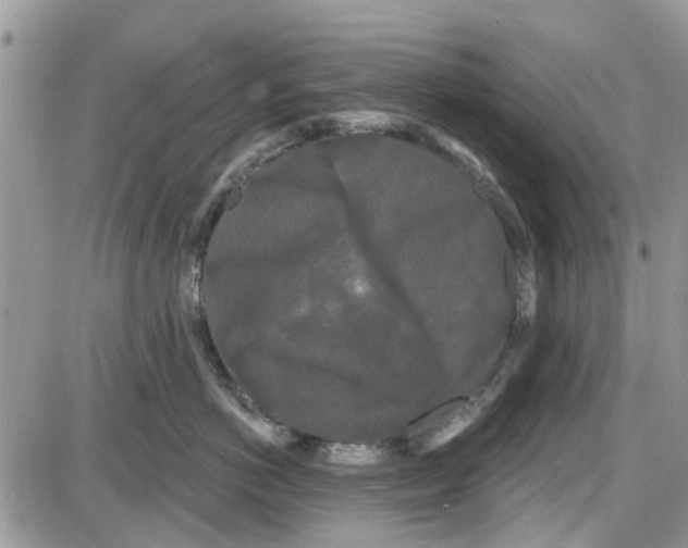 X0000087630766200705311328