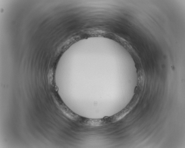 X0000087630767200705311328