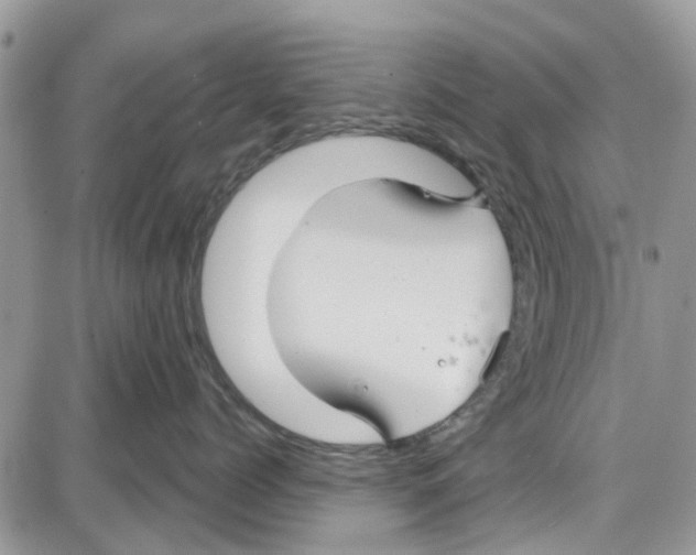 X0000087630768200705311328