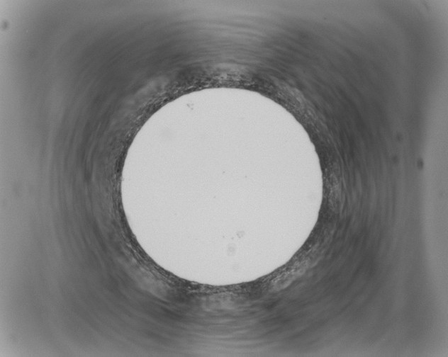 X0000087630769200705311328