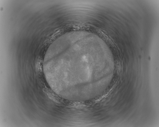 X0000087630770200705311328