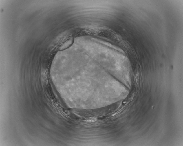 X0000087630772200705311328