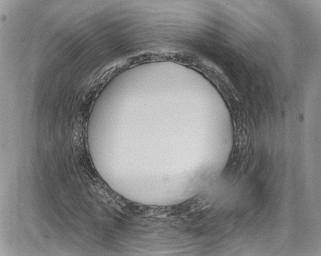 X0000087630773200705311328