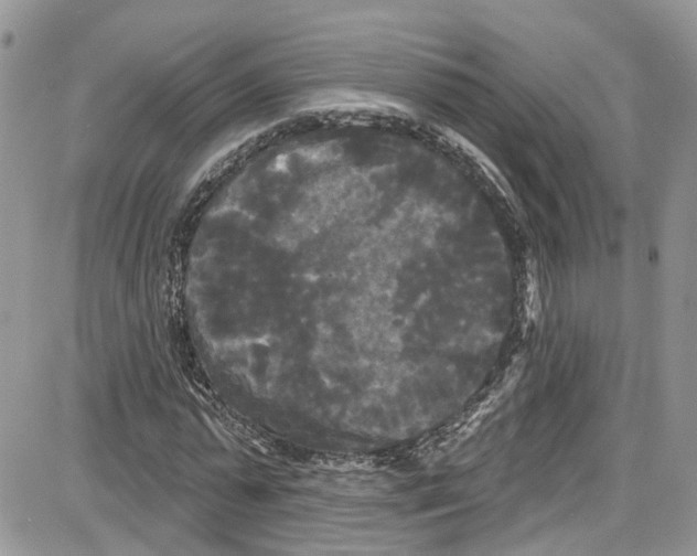 X0000087630775200705311328