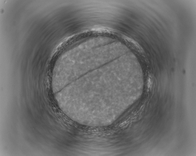 X0000087630776200705311328