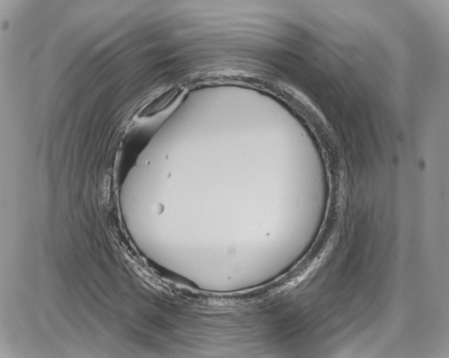 X0000087630777200705311327