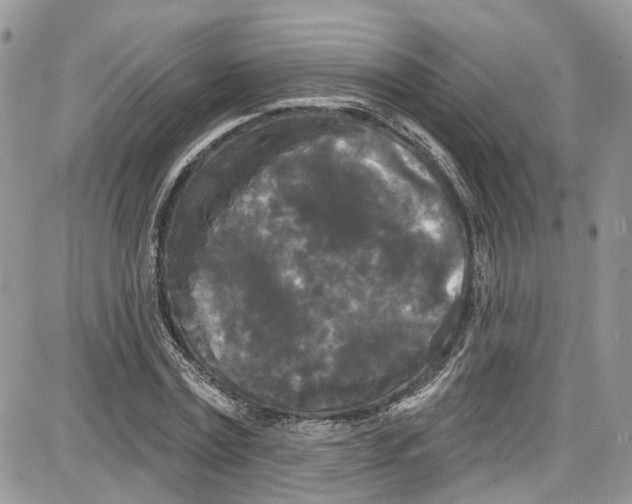 X0000087630779200705311327