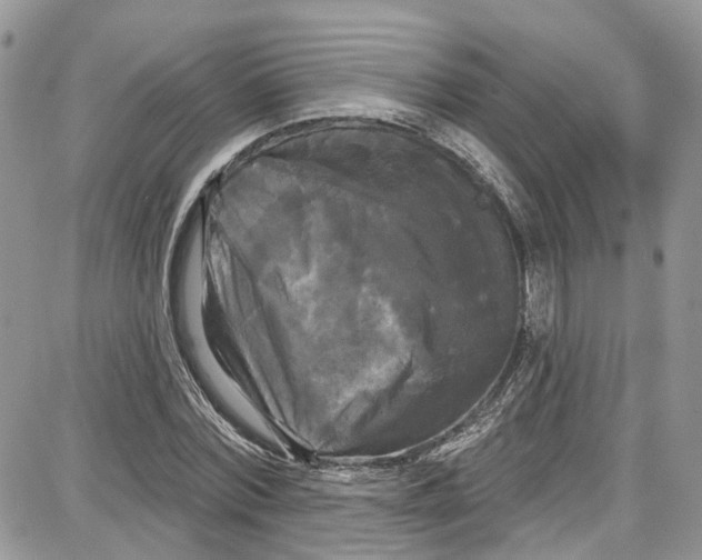 X0000087630780200705311327