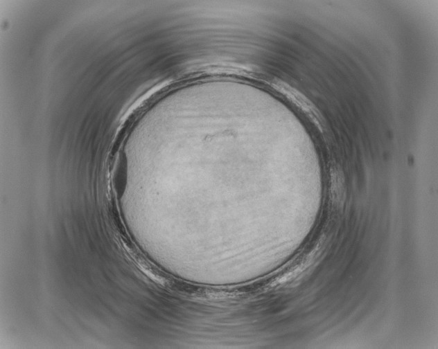 X0000087630782200705311327