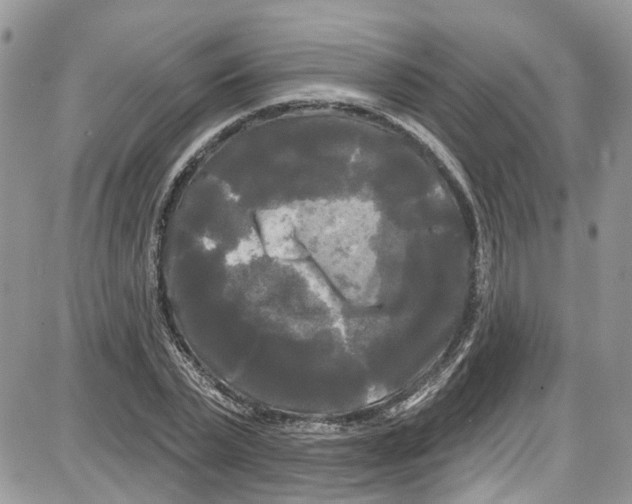 X0000087630783200705311327