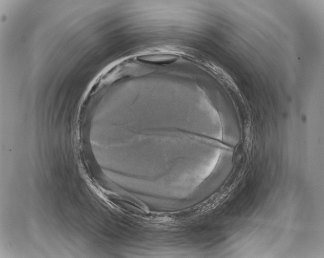 X0000087630784200705311327