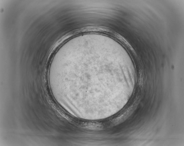 X0000087630786200705311327