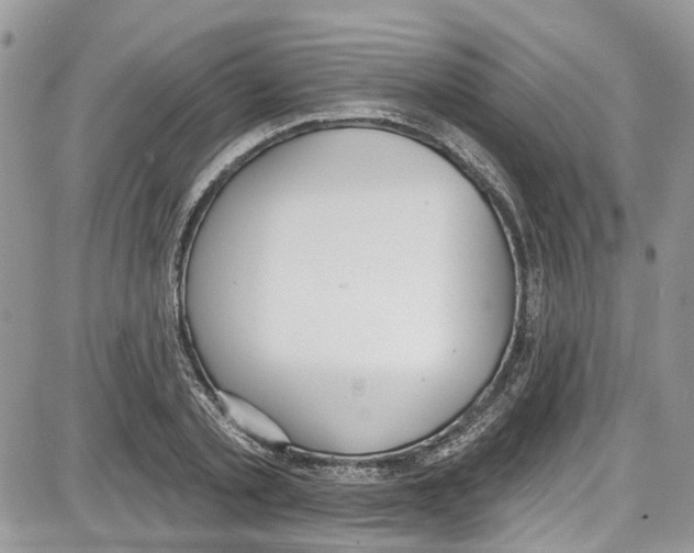 X0000087630789200705311327