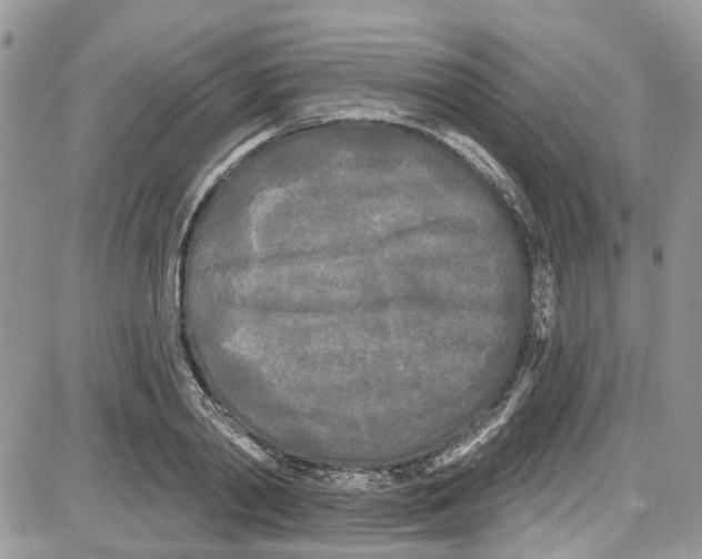 X0000087630790200705311327