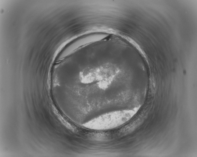 X0000087630791200705311327