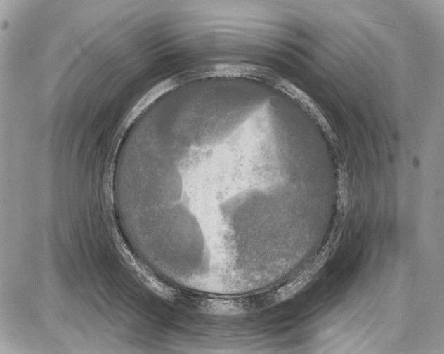 X0000087630794200705311327