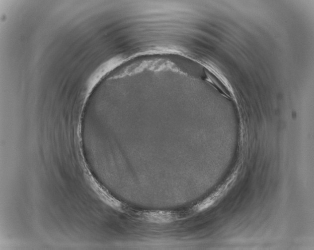 X0000087630797200705311327