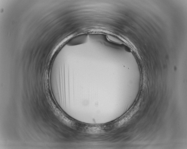 X0000087630798200705311327