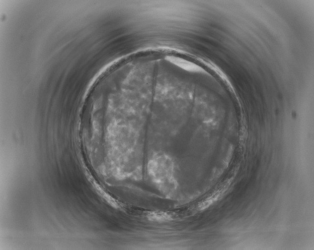 X0000087630799200705311327