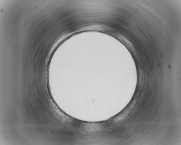 X0000087630800200705311327