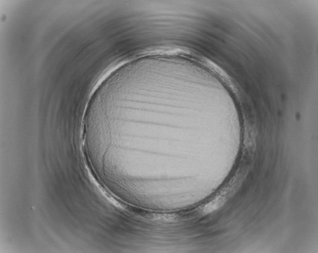 X0000087630802200705311327