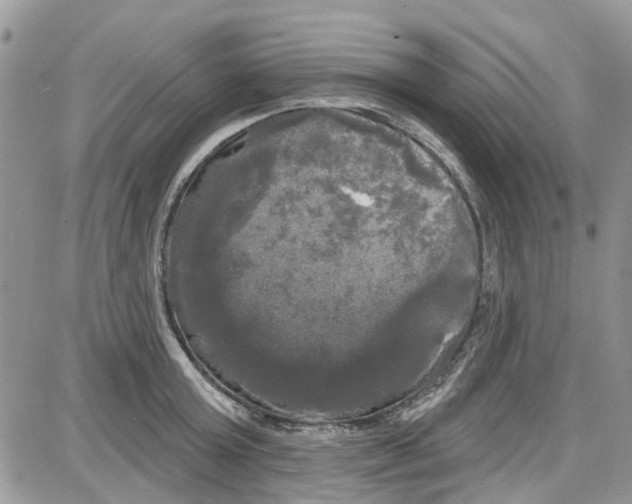 X0000087630803200705311327