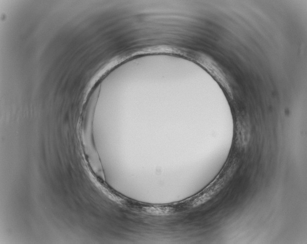 X0000087630805200705311327