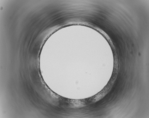 X0000087630807200705311327