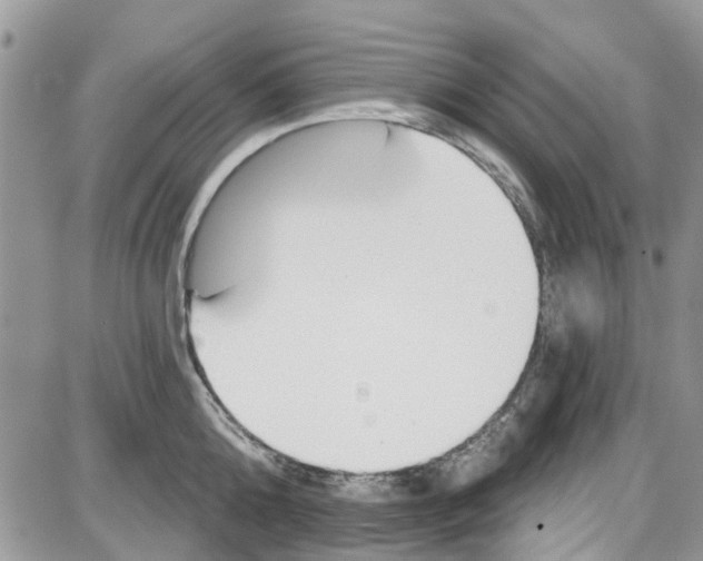 X0000087630808200705311327