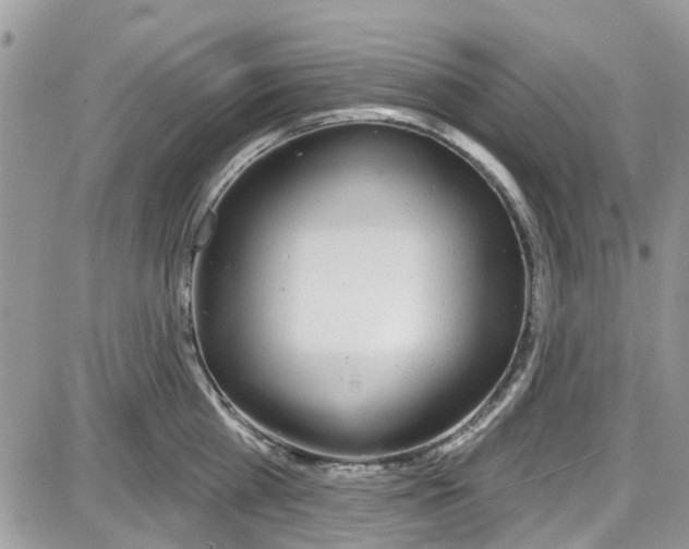 X0000087630809200705311327