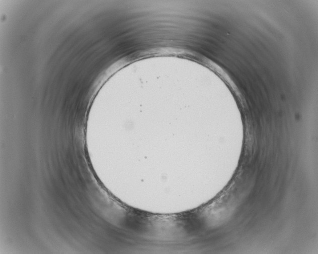 X0000087630810200705311327