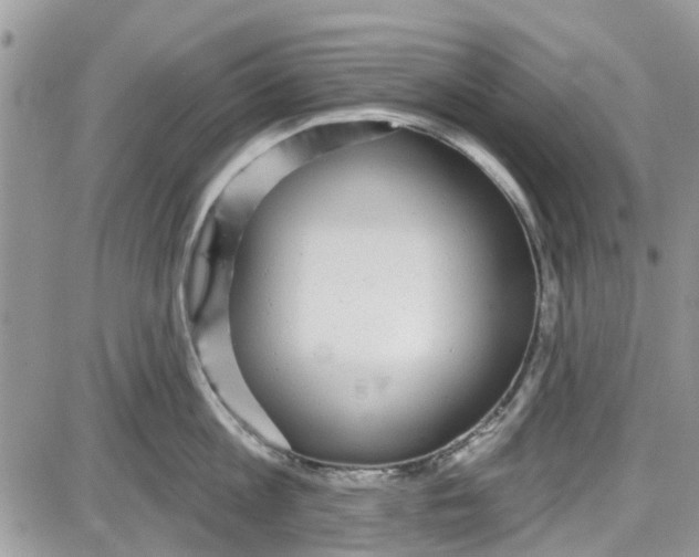 X0000087630813200705311327