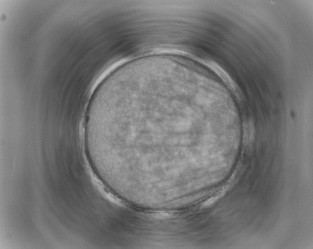 X0000087630814200705311327