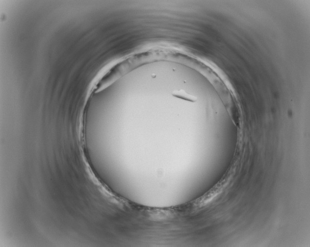 X0000087630815200705311327