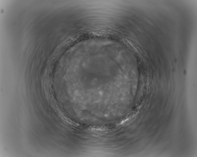 X0000087630817200705311326