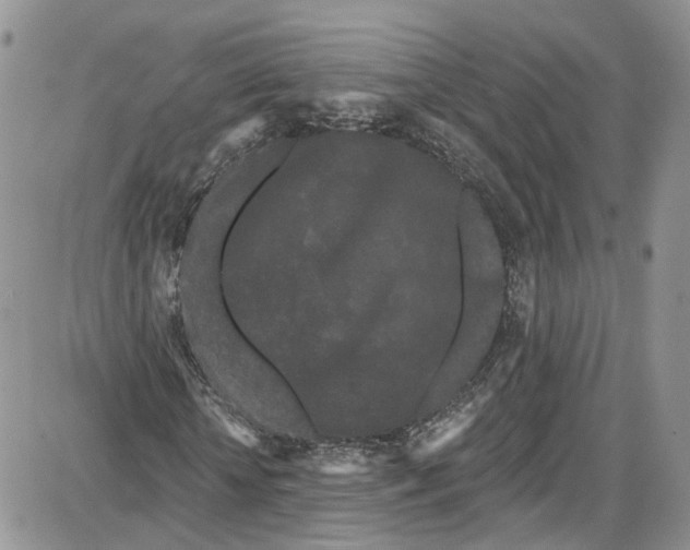 X0000087630818200705311326