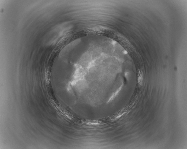 X0000087630819200705311326