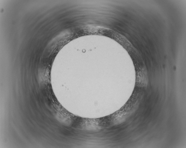 X0000087630820200705311326