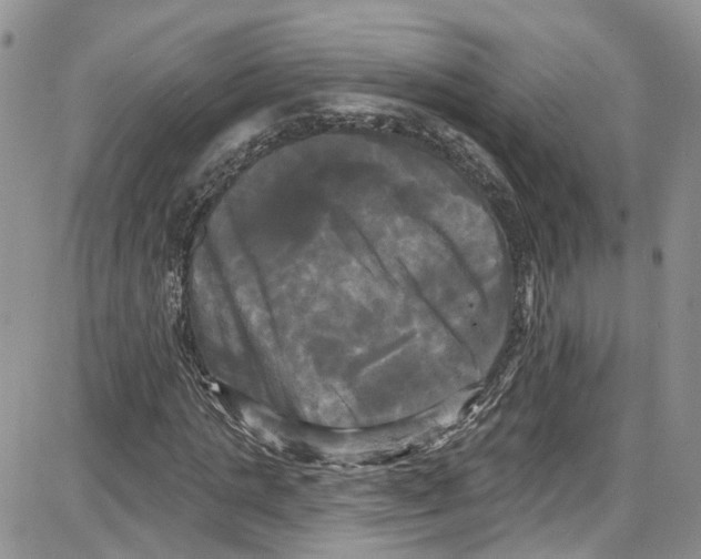 X0000087630821200705311326