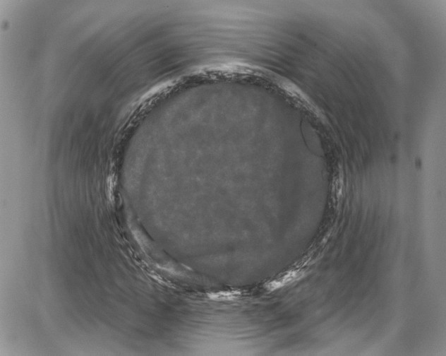 X0000087630822200705311326