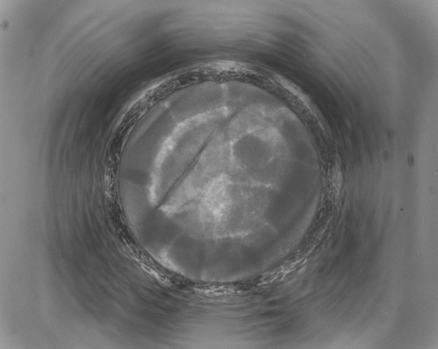 X0000087630823200705311326