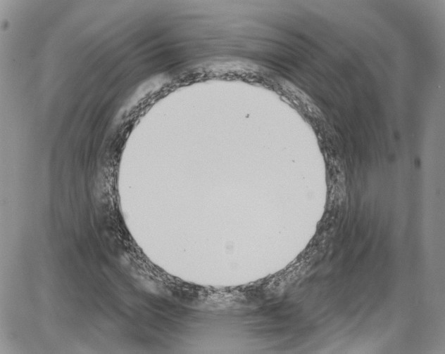 X0000087630824200705311326