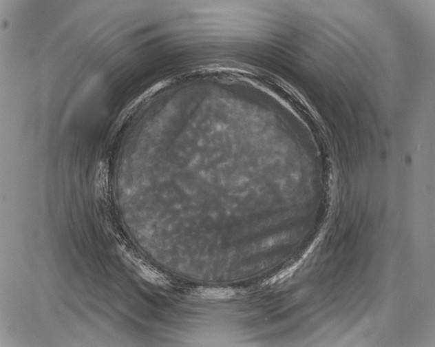 X0000087630825200705311326