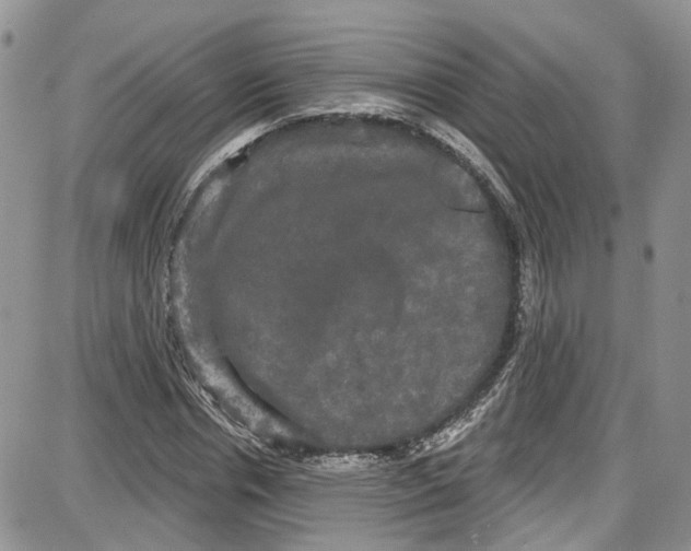 X0000087630826200705311326