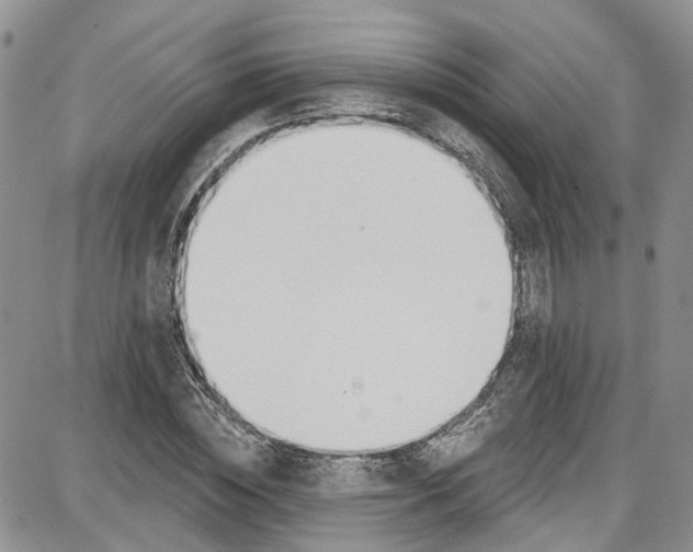 X0000087630828200705311326