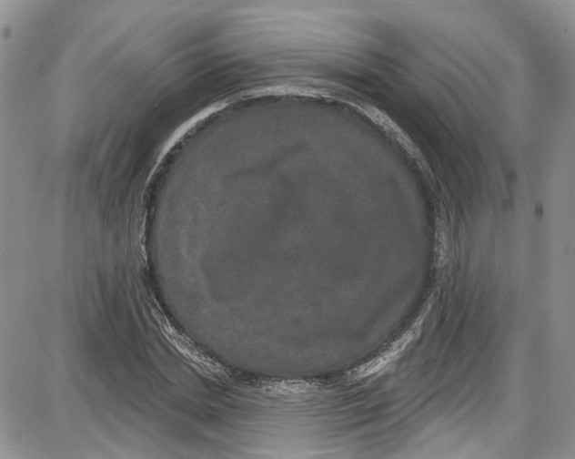 X0000087630830200705311326