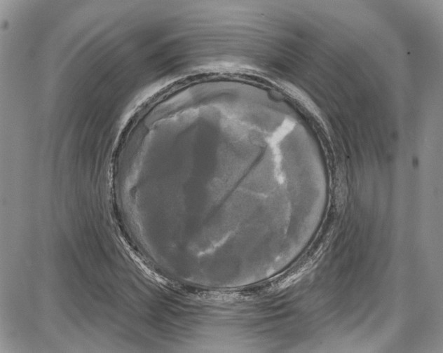 X0000087630831200705311326