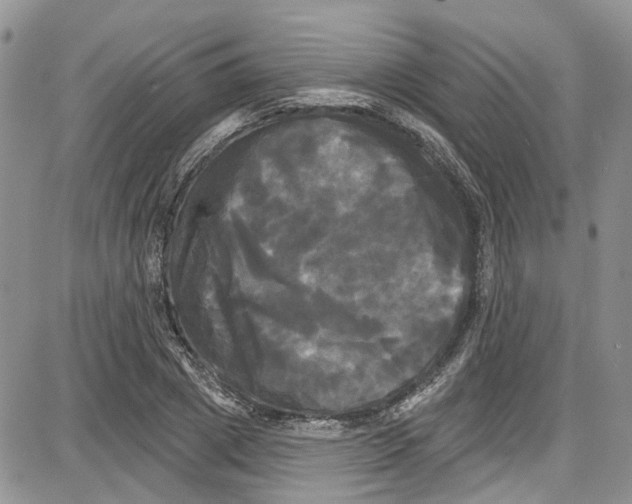 X0000087630833200705311326